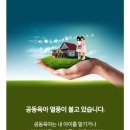 마리나유치원 이미지