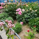 자연속에 둥지펜션 이미지