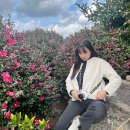 포레스트선흘 이미지