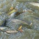 암반수낚시터 이미지