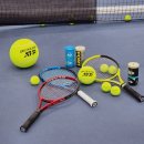 테니스 대회 ATP 투어 공식 파트너 던롭。ATP 챔피언십 테니스공 사용 후기