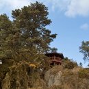 참샘약수터 이미지