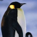 색연필/펜 드로잉 이미지