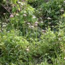 광릉한의원 이미지