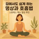 호흡과명상 | 집에서도 쉽게 하는 명상과 호흡법: 스트레스 해소 웰빙 루틴