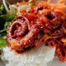 힘찬낙지 이미지