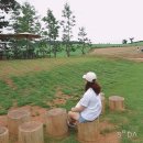 선하누목장 | MAB 청년 포럼, 고창을 다녀와서