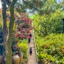 (주)히든렌트카 | 제주 날씨 12월 마지막주 실시간 날씨예보 대설 옷차림