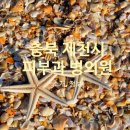 위성목신경외과의원 이미지