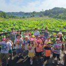 함안박물관 이미지