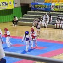 성웅합기도검무관