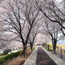 덕포공원(야구장) 이미지