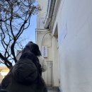 카라시스템 | 안국 오레노라멘 카라빠이탄 목이버섯 추가 후기 (미슐랭 라멘) - 안국 점심 혼밥