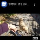 심상정 "반려동물 공공 건강보험 도입...의료비 지원" 이미지