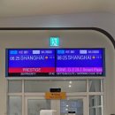 한국국제학교 | 중국 상해(상하이) 초기 정착 및 국제학교 입학 후기