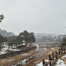 순흥초등학교 이미지