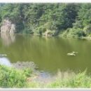 금산마을회관 이미지