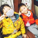 안해님농장 이미지