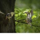 수원-0522 이미지