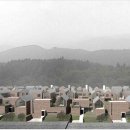 나성건축사사무소