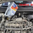 성모카센타 이미지