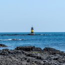 헬로 1204 이미지