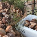 번덕농장 이미지