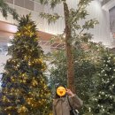 (주)태승 | 벌써부터 캐롤 듣는 사람 나예요