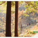 바람고개길 이미지