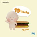 (주)삼일미화 | 임신 18-19주차 일상 모음 zip ☆