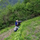 하곡농장 이미지