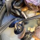 철수네 해산물 먹거리장터 이미지