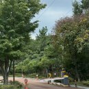 달서별빛캠프 캠핑장(관리사무소) | 대구 도심 속 캠핑장 ‘달서 별빛 캠프’ 에르젠 라운지쉘터