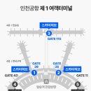 국내공항 라운지 인천 김포 김해 위치 이용권 (마티나, 스카이허브, 라운지엘)
