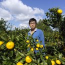 김경철농장 이미지