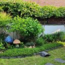 화순성심병원 이미지