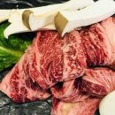 이집이 좋겠네 이미지