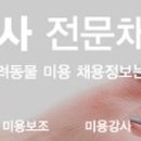 축복애견호텔미용 이미지