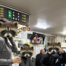 옛통이모 이미지