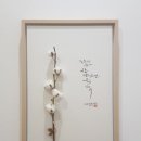 블루향캘리그라피