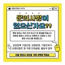 바른길 행정사사무소 이미지