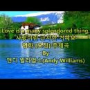 사랑은 아름다워라 이미지