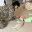 서연클린 | 내가 어떻게 29살이야