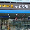 펫츠올 동물의료원 이미지