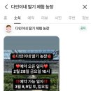 다인농장2 이미지