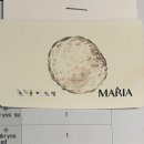 다솜의원 | [시험관 동결3차] 5일배아 이식 후 7일차까지 증상, 응급실 가서 임신 알게된 썰, 임신 극초기 위염