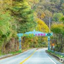 하늘여울소치마을 | [강원도 인제군] 소치길