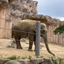 대공원역 1번 출구 뒤 이미지