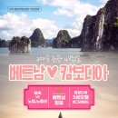 비경투어여행사 이미지
