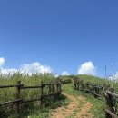 제 126차 정기 산행 강원 정선 민둥산 산행(1,119m) 이미지